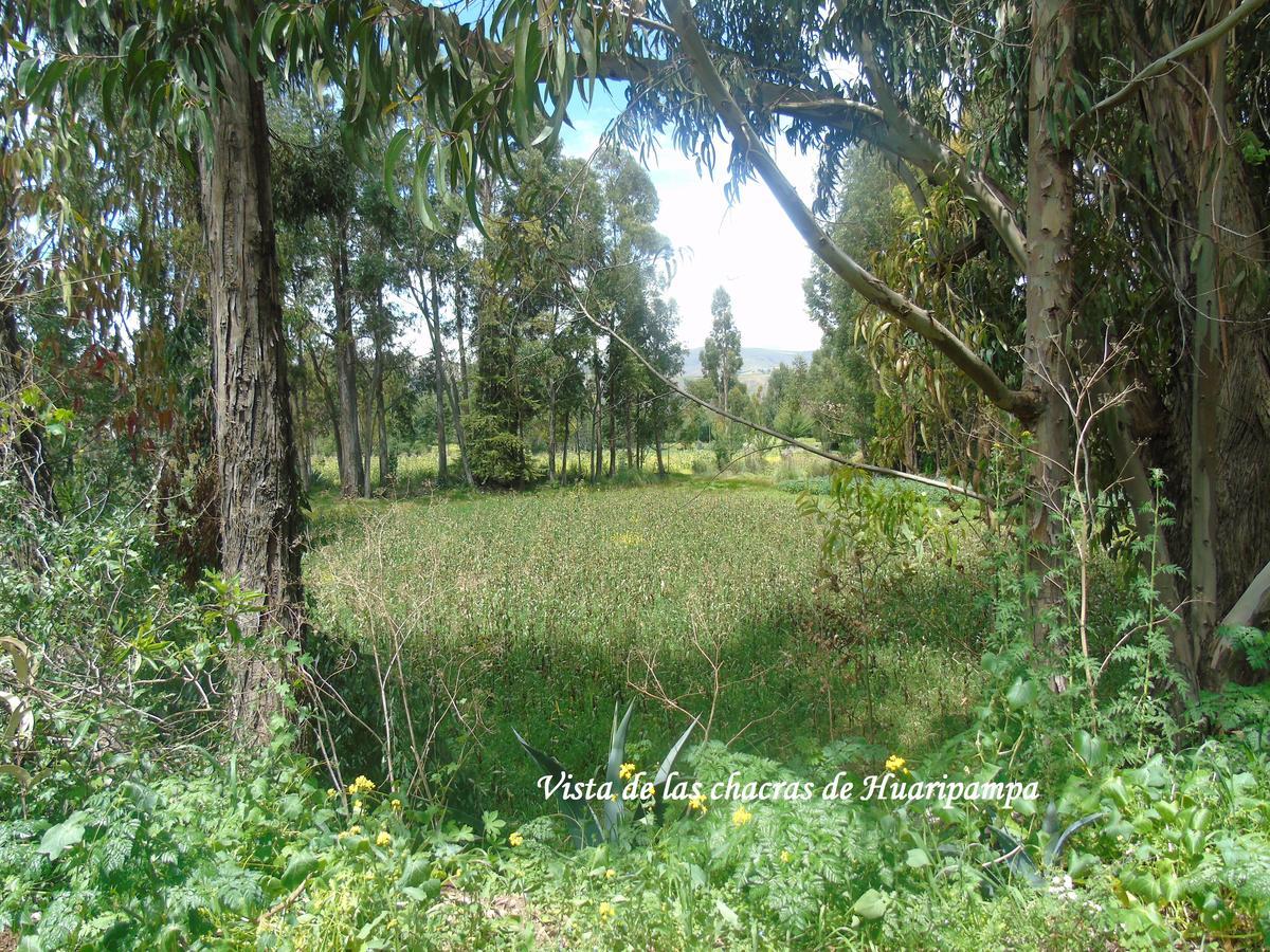 Pousada Villa Huaripampa Jauja Exterior foto